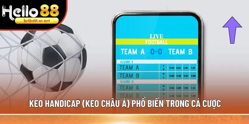 Kèo Handicap (kèo châu Á): Những thông tin bạn chưa biết 1 Kèo Handicap (kèo châu Á) phổ biến trong cá cược